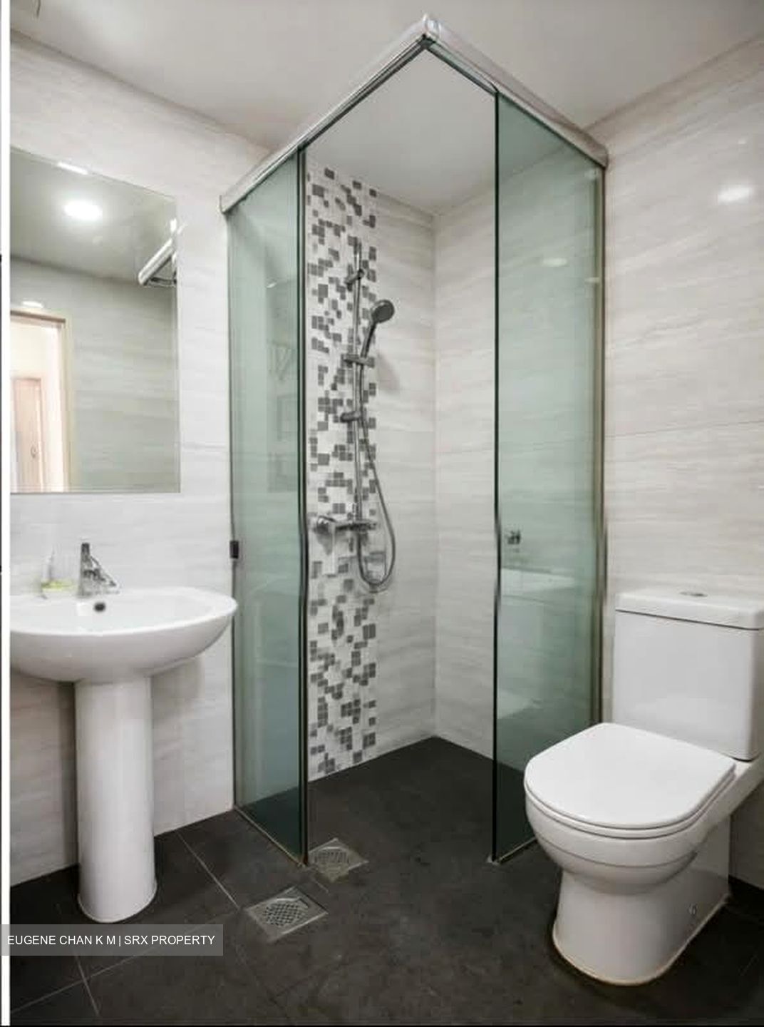 Clementi Park (D21), Condominium #547673661
